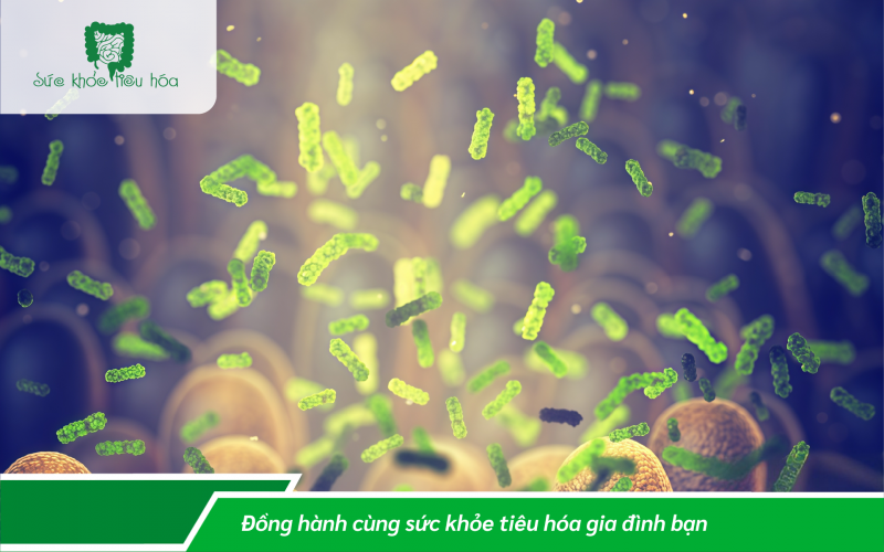 PROBIOTIC CÓ ẢNH HƯỞNG ĐẾN GIẢM CÂN ?