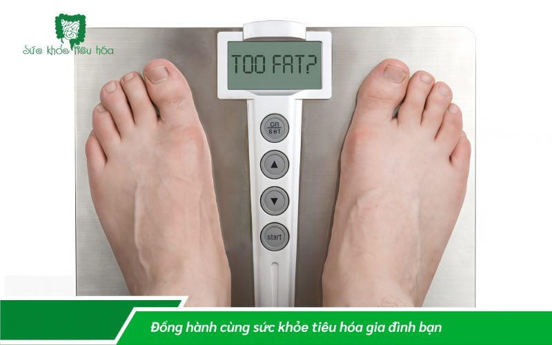 PROBIOTIC CÓ ẢNH HƯỞNG ĐẾN GIẢM CÂN ?