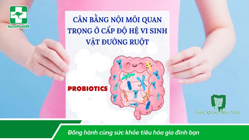 PROBIOTICS VÀ LỢI ÍCH CHO SỨC KHỎE, MỐI LIÊN HỆ VỚI HỆ THỐNG MIỄN DỊCH