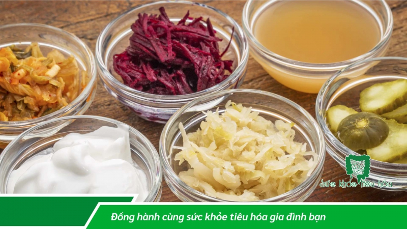 PROBIOTICS VÀ LỢI ÍCH CHO SỨC KHỎE, MỐI LIÊN HỆ VỚI HỆ THỐNG MIỄN DỊCH