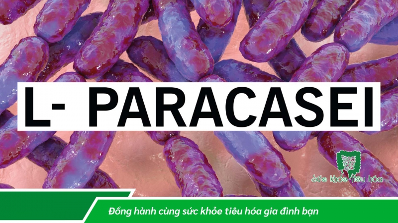 PROBIOTICS VÀ LỢI ÍCH CHO SỨC KHỎE, MỐI LIÊN HỆ VỚI HỆ THỐNG MIỄN DỊCH