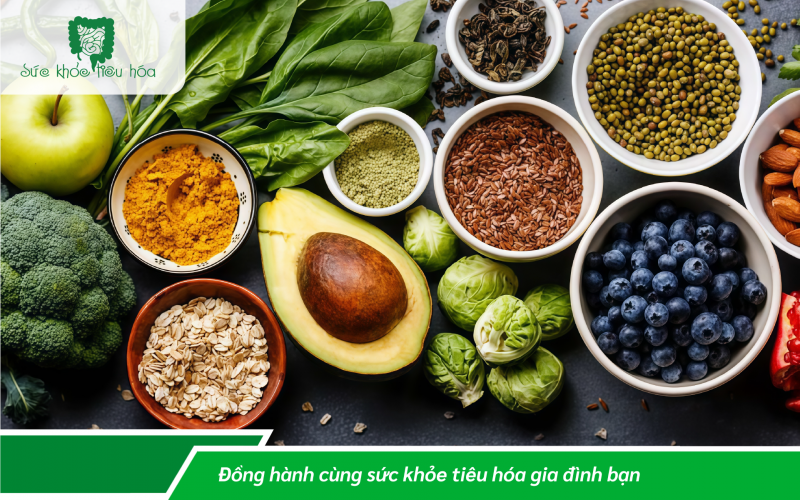 PROTEIN TỪ THỰC VẬT HAY ĐỘNG VẬT TỐT HƠN?