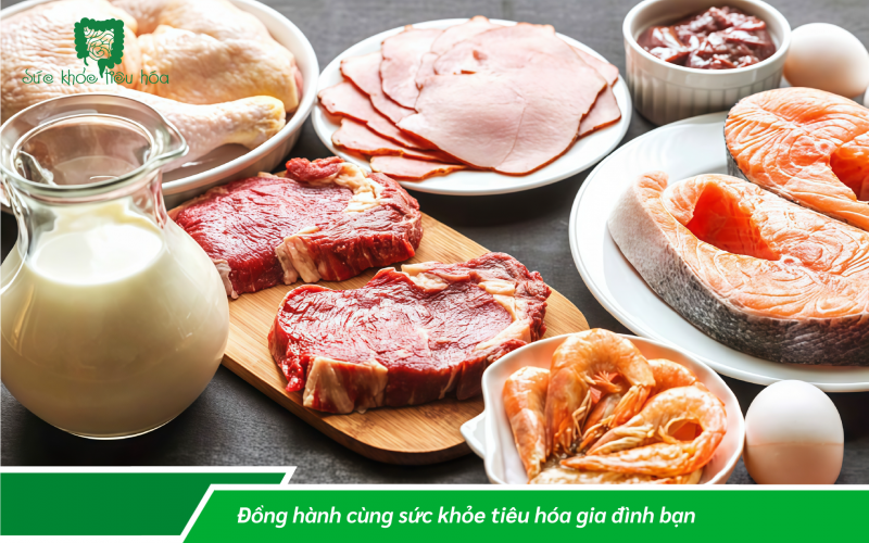 PROTEIN TỪ THỰC VẬT HAY ĐỘNG VẬT TỐT HƠN?