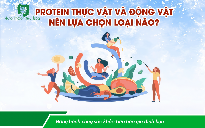 PROTEIN TỪ THỰC VẬT HAY ĐỘNG VẬT TỐT HƠN?