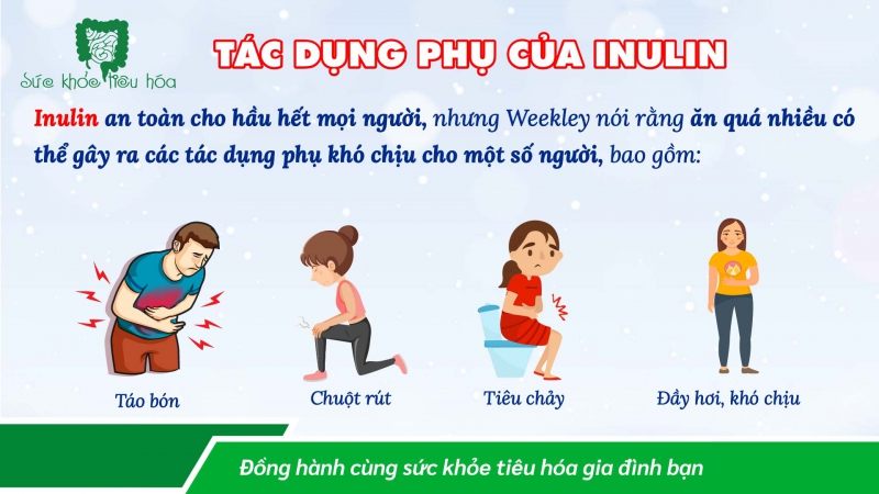 PREBIOTIC INULIN GIÚP CẢI THIỆN SỨC KHỎE ĐƯỜNG RUỘT