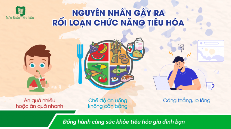 RỐI LOẠN TIÊU HÓA,  NỖI ÁM ẢNH  THẦM KÍN CỦA GIỚI LÀM VIỆC VĂN PHÒNG. PROBIOTICS GIẢI PHÁP TRUNG TÂM CHỐNG RỐI LOẠN TIÊU HÓA