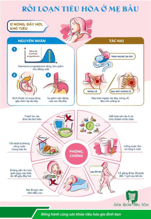 RỐI LOẠN TIÊU HÓA Ở MẸ BẦU