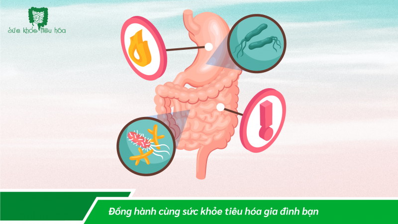 SẢN PHẨM NÀO VỪA NGĂN TIÊU CHẢY VÀ TÁO BÓN?