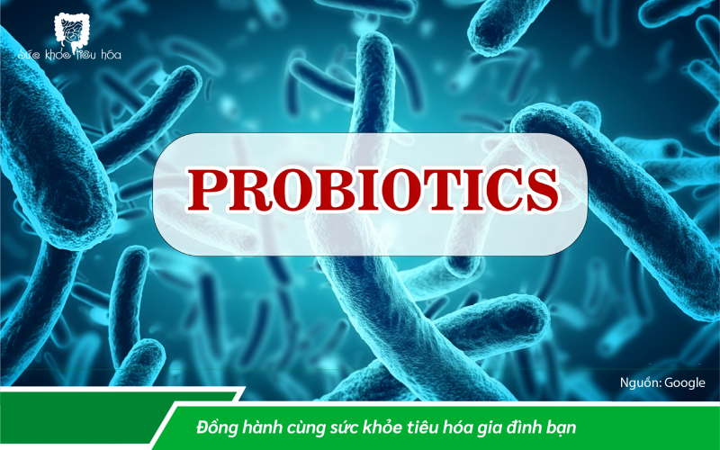 SO SÁNH MEN VI SINH PROBIOTICS VỚI CHẤT XƠ PREBIOTICS