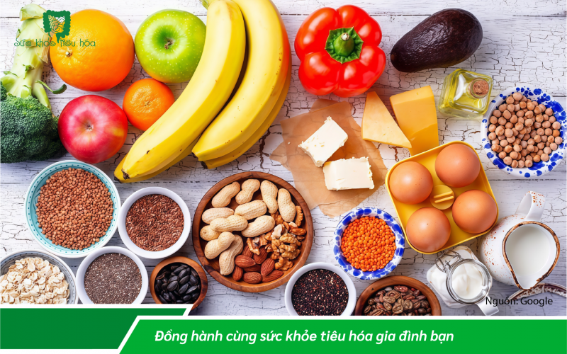 SO SÁNH MEN VI SINH PROBIOTICS VỚI CHẤT XƠ PREBIOTICS