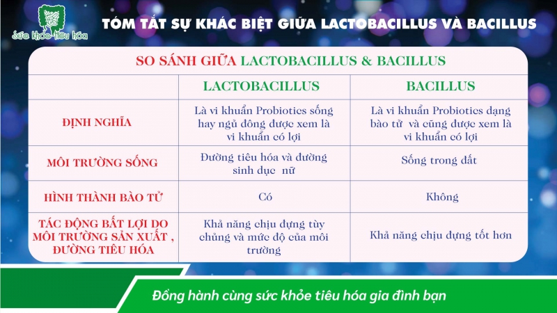 SO SÁNH LACTOBACILLUS & VI KHUẨN BÀO TỬ BACILLUS