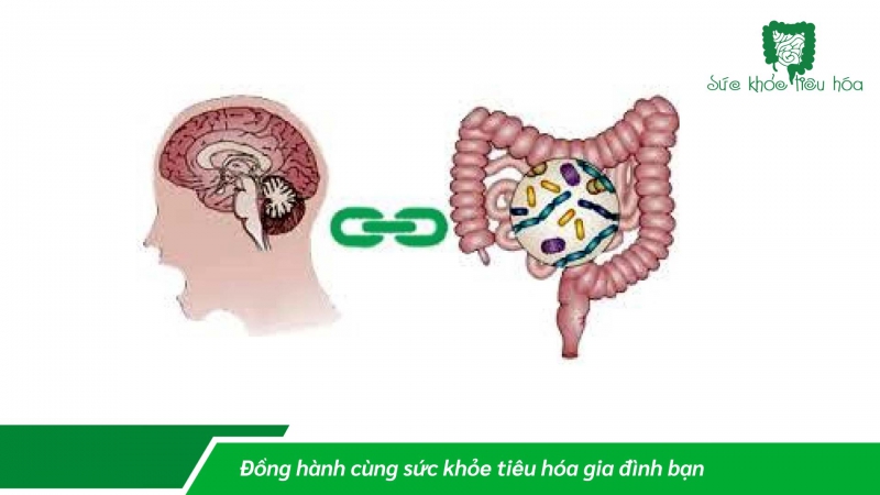 STRESS VÀ RỐI LOẠN TIÊU HÓA