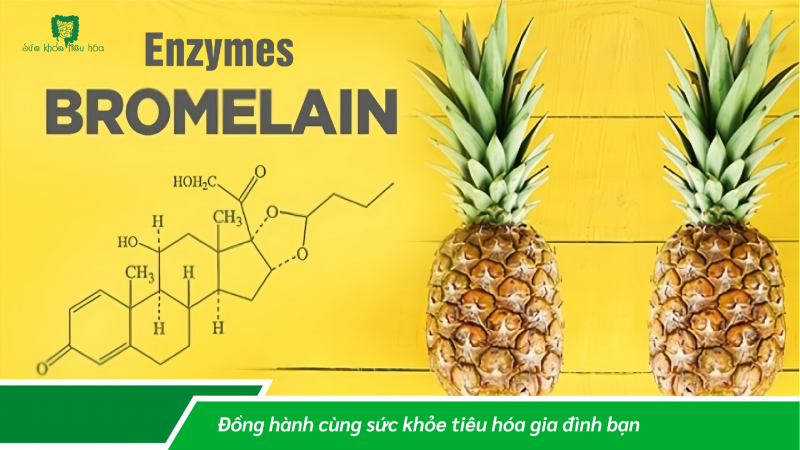 TÁC DỤNG TUYỆT VỜI CỦA CÁC ENZYME TIÊU HÓA (P1)