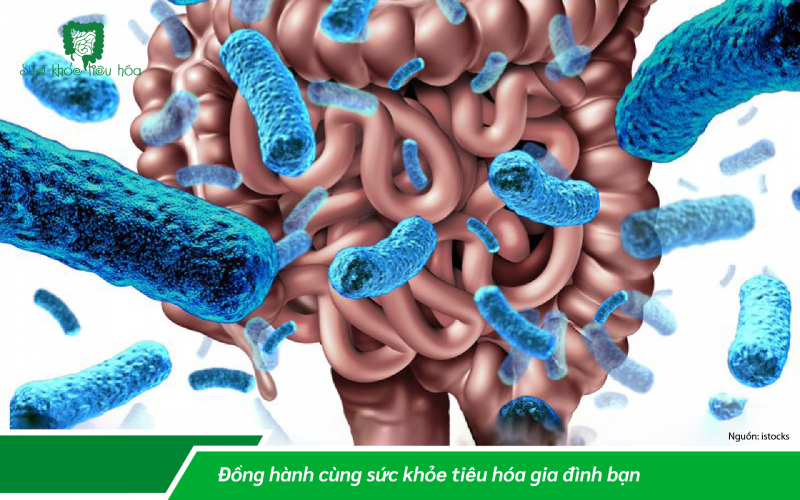 TÁO BÓN ĐỐI VỚI PHỤ NỮ SAU KHI SINH