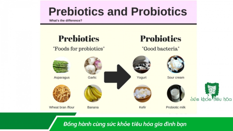 TĂNG CƯỜNG SỨC ĐỀ KHÁNG CHO CƠ THỂ BẰNG THỰC PHẨM