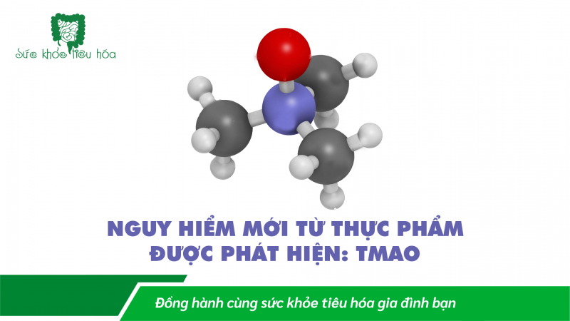TMAO LÀ GÌ, VÌ SAO CHÚNG TA NÊN TRÁNH XA? 