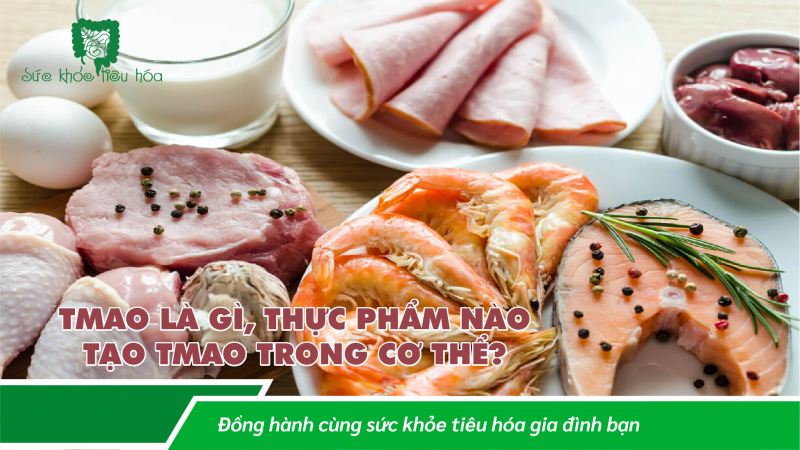 TMAO LÀ GÌ, VÌ SAO CHÚNG TA NÊN TRÁNH XA? 