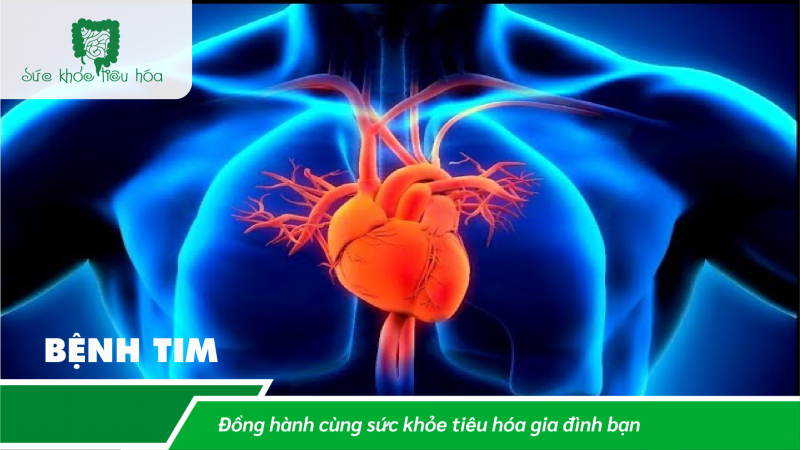 TMAO LÀ GÌ, VÌ SAO CHÚNG TA NÊN TRÁNH XA? 