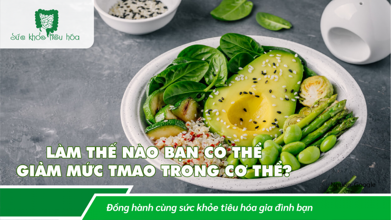 TMAO LÀ GÌ, VÌ SAO CHÚNG TA NÊN TRÁNH XA? 