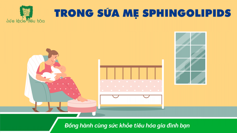 TRONG SỮA MẸ, SPHINGOLIPIDS ĐỊNH HÌNH HỆ VI SINH VẬT VÀ CÓ LỢI CHO SỨC KHỎE EM BÉ