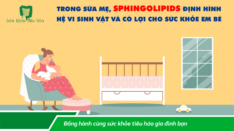 TRONG SỮA MẸ, SPHINGOLIPIDS ĐỊNH HÌNH HỆ VI SINH VẬT VÀ CÓ LỢI CHO SỨC KHỎE EM BÉ