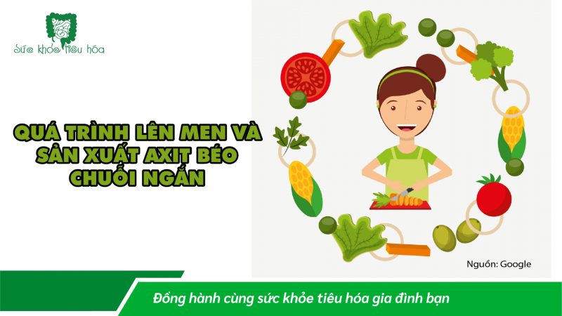 VÌ SAO AXIT BÉO CHUỖI NGẮN LẠI QUAN TRỌNG CHO SỨC KHỎE ĐƯỜNG RUỘT