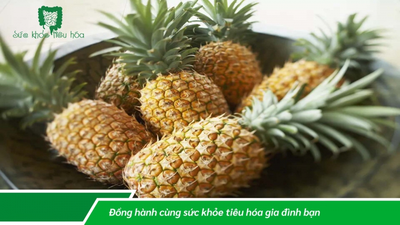 VAI TRÒ CỦA ENZYME TIÊU HÓA