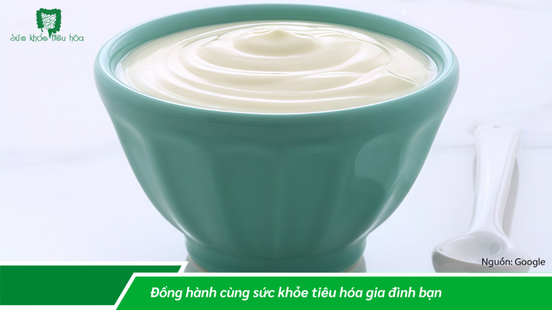 VI KHUẨN CÓ ÍCH  CHO SỰ SỐNG: SỮA CHUA LÊN MEN, MEN VI SINH PROBIOTIC KỲ DIỆU ?