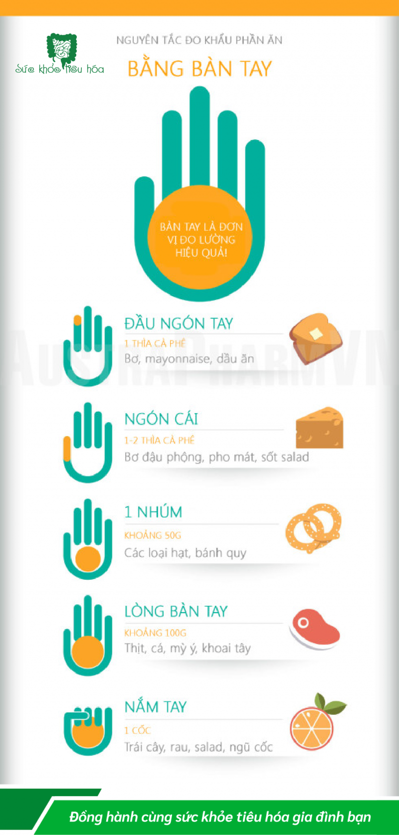 XÂY DỰNG CHẾ ĐỘ ĂN UỐNG HỢP LÝ QUA NGUYÊN TẮC BÀN TAY