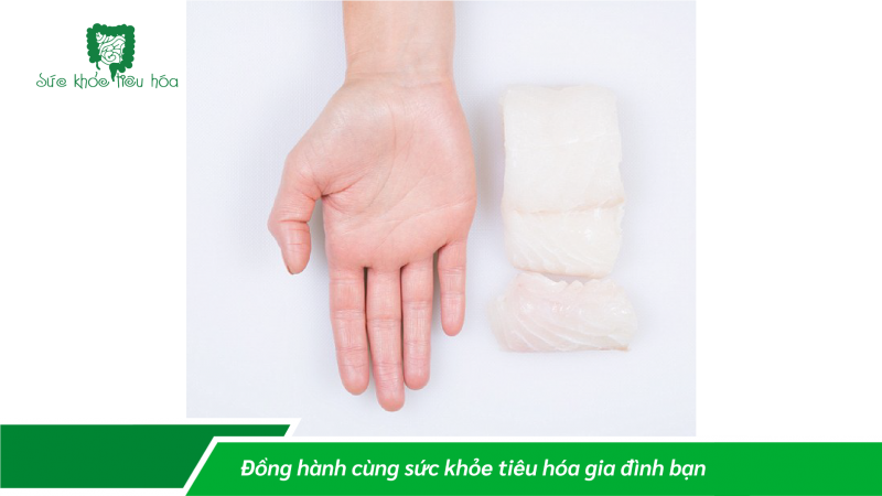 CHẾ ĐỘ ĂN HỢP LÝ THEO NGUYÊN TẮC BÀN TAY