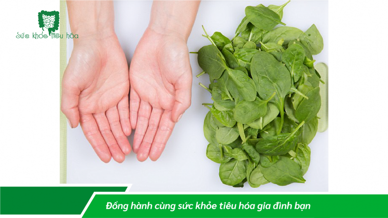 XÂY DỰNG CHẾ ĐỘ ĂN UỐNG HỢP LÝ QUA NGUYÊN TẮC BÀN TAY