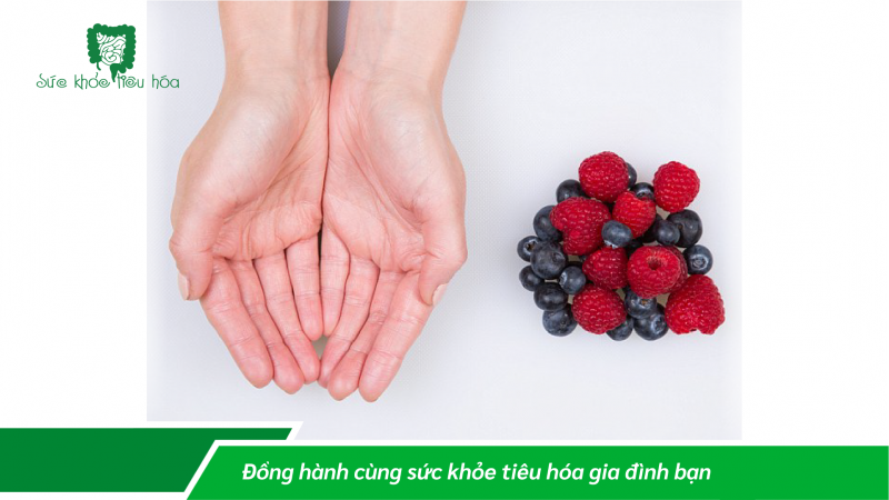 XÂY DỰNG CHẾ ĐỘ ĂN UỐNG HỢP LÝ QUA NGUYÊN TẮC BÀN TAY