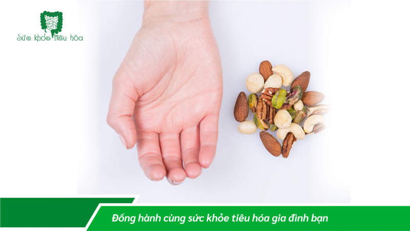 CHẾ ĐỘ ĂN HỢP LÝ THEO NGUYÊN TẮC BÀN TAY