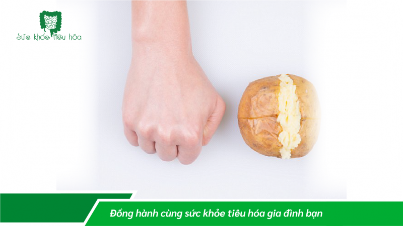 CHẾ ĐỘ ĂN HỢP LÝ THEO NGUYÊN TẮC BÀN TAY