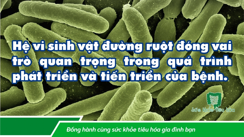 HIỆU QUẢ CỦA MEN VI SINH PROBIOTICS ĐỐI VỚI BỆNH GAN NHIỄM MỠ KHÔNG DO RƯỢU