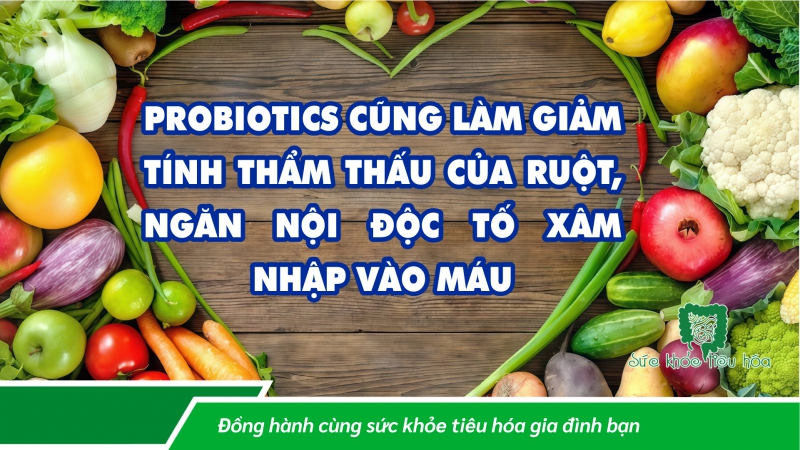 HIỆU QUẢ CỦA MEN VI SINH PROBIOTICS ĐỐI VỚI BỆNH GAN NHIỄM MỠ KHÔNG DO RƯỢU