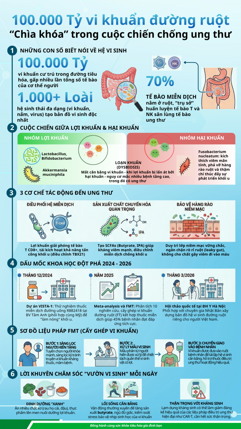 infographic 100000 tỷ vi khuẩn trong ruột ảnh hưởng đến ung thư và hệ miễn dịch