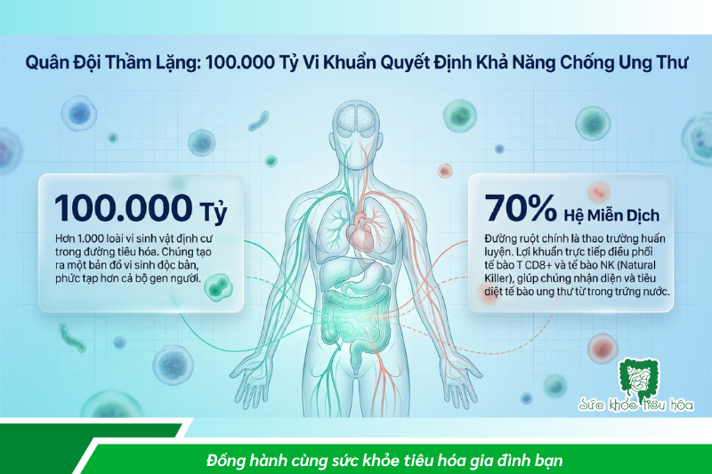 HÀNG NGHÌN TỶ VI KHUẨN TRONG RUỘT BẠN ĐANG GÓP PHẦN GIẢM NGUY CƠ UNG THƯ?