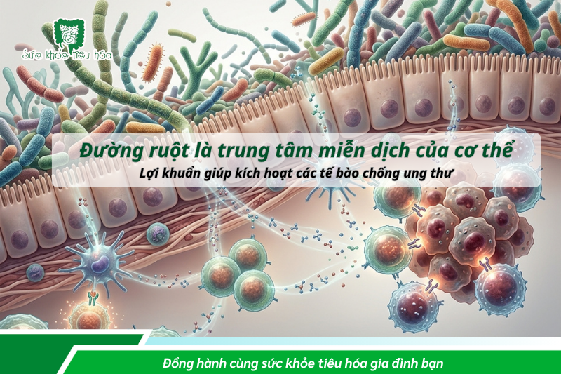 HÀNG NGHÌN TỶ VI KHUẨN TRONG RUỘT BẠN ĐANG GÓP PHẦN GIẢM NGUY CƠ UNG THƯ?