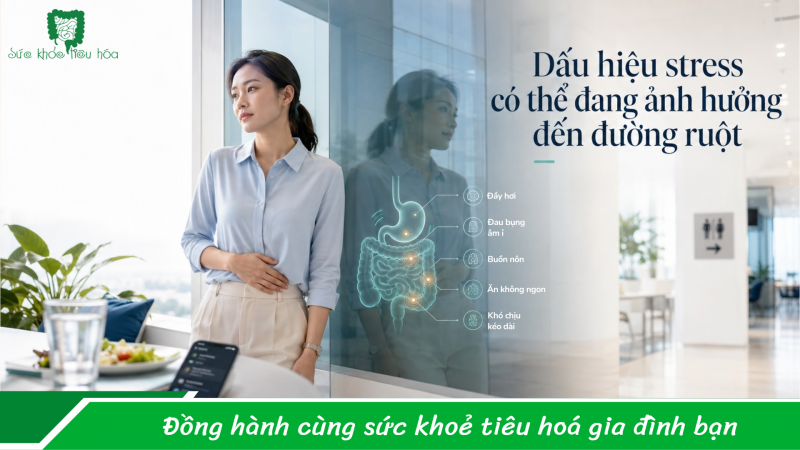Stress kéo dài có thể khiến đường ruột “kiệt sức” không?