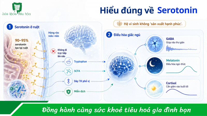 Hay lo lắng vô cớ, ngủ không sâu giấc, người mệt mỏi!!!