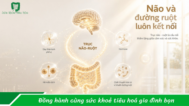 Người ít lo âu, vững tâm lý hơn - Họ có điểm chung bất ngờ này trong đường ruột