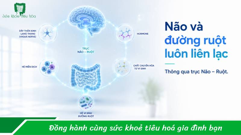 Hay cáu gắt, buồn không lý do, cảm giác trống rỗng -  chuyện gì đang xảy ra với bạn?
