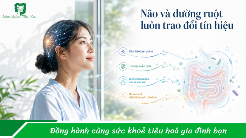 Stress kéo dài có thể khiến đường ruột “kiệt sức” không?