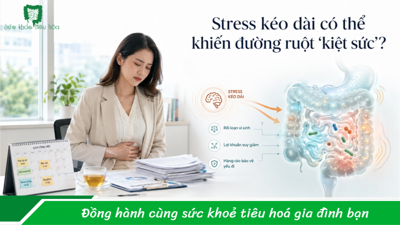 Stress kéo dài có thể khiến đường ruột “kiệt sức” không?