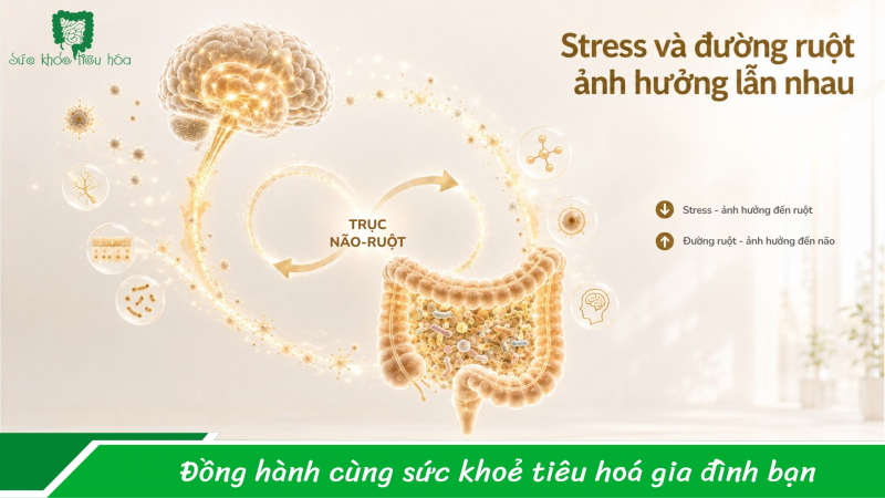 Người ít lo âu, vững tâm lý hơn - Họ có điểm chung bất ngờ này trong đường ruột