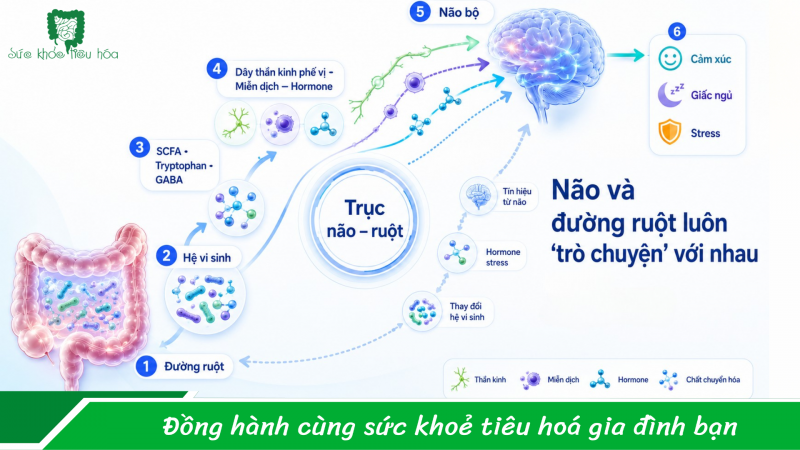 Hay lo lắng vô cớ, ngủ không sâu giấc, người mệt mỏi!!!