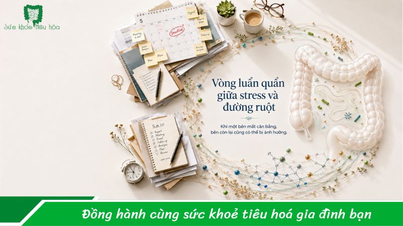Stress kéo dài có thể khiến đường ruột “kiệt sức” không?