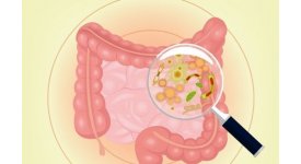 Probiotic giúp giảm mỡ và đốt cháy mỡ bụng