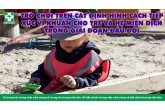TRÒ CHƠI TRÊN CÁT ĐỊNH HÌNH CÁCH TIẾP XÚC VI KHUẨN CHO TRẺ VÀ HỆ MIỄN DỊCH TRONG GIAI ĐOẠN ĐẦU ĐỜI